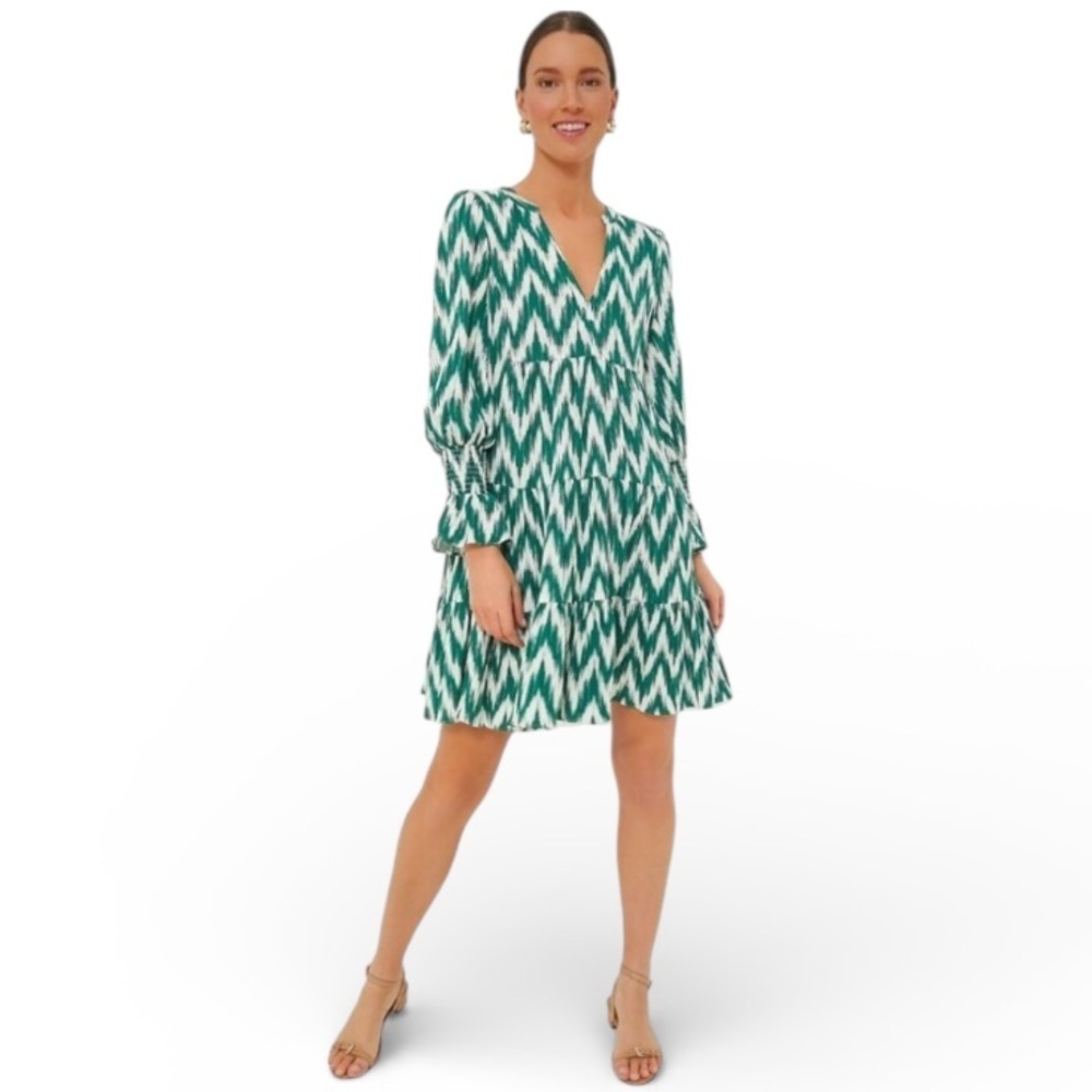 Pomander Place Women’s Long Sleeve Green and White Ikat Kenzo Chevron Dress